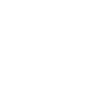 Team Leadership