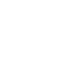 Project Management Basics