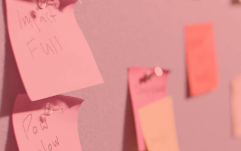 Project Manager Roles & Responsibilities in 2020