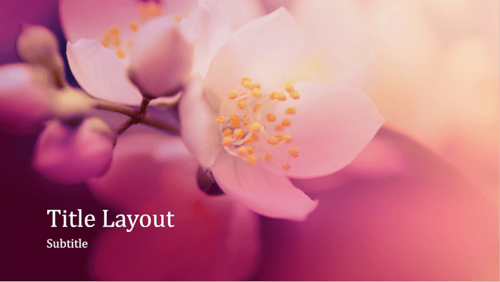 Plantilla de PowerPoint - flor de cerezo