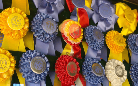 GoSkills Named in Capterra’s Top 20 Most Popular LMS Software