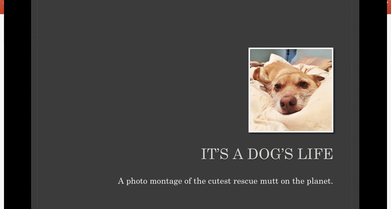 5 Alternative Uses Of Microsoft Powerpoint Because It S Not Just For Presentations